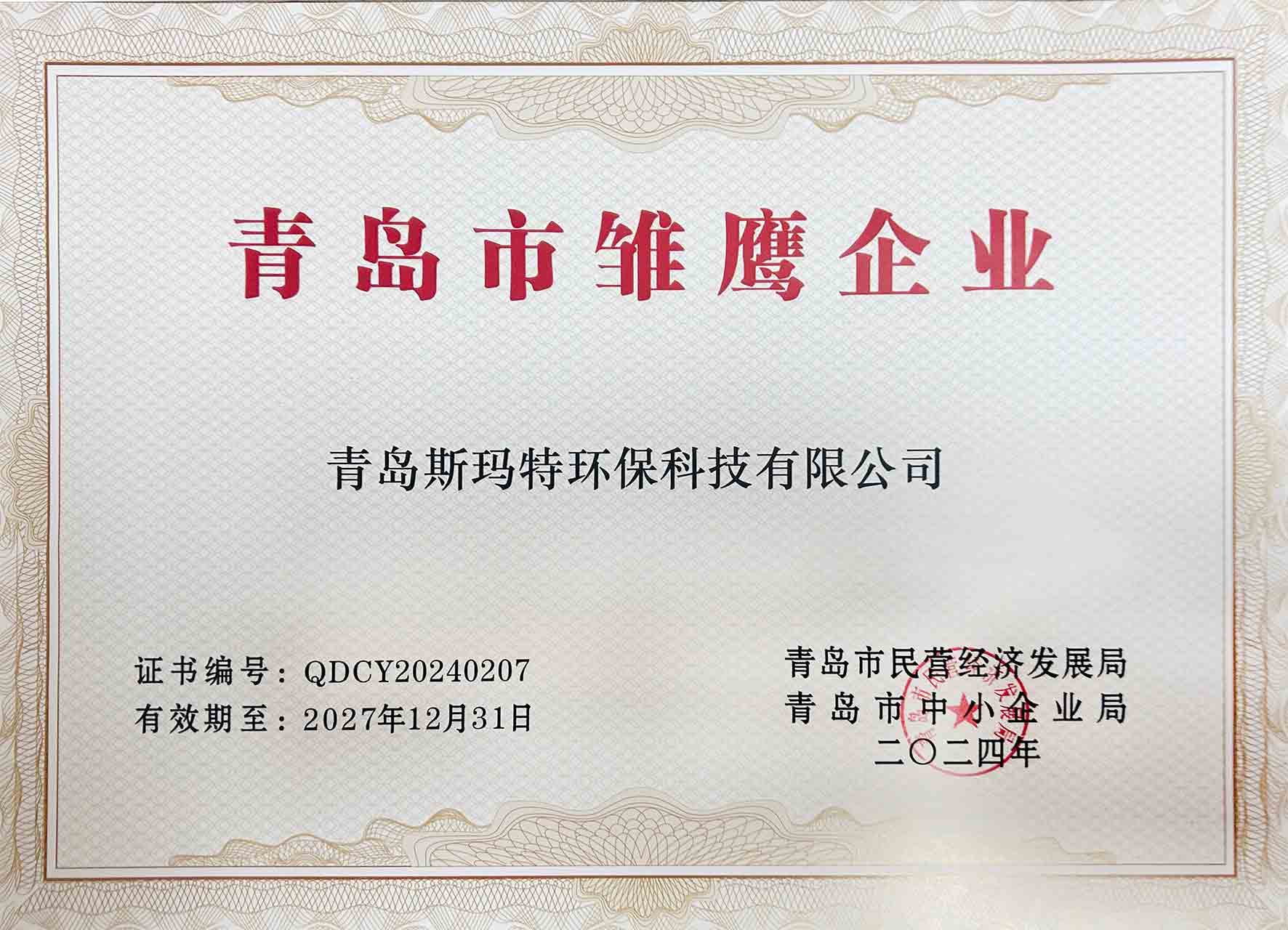 青岛市雏鹰企业